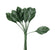 Rosenlaub Miniblätterbund dunkelgrün 22x37mm 12 Stück/Bd.