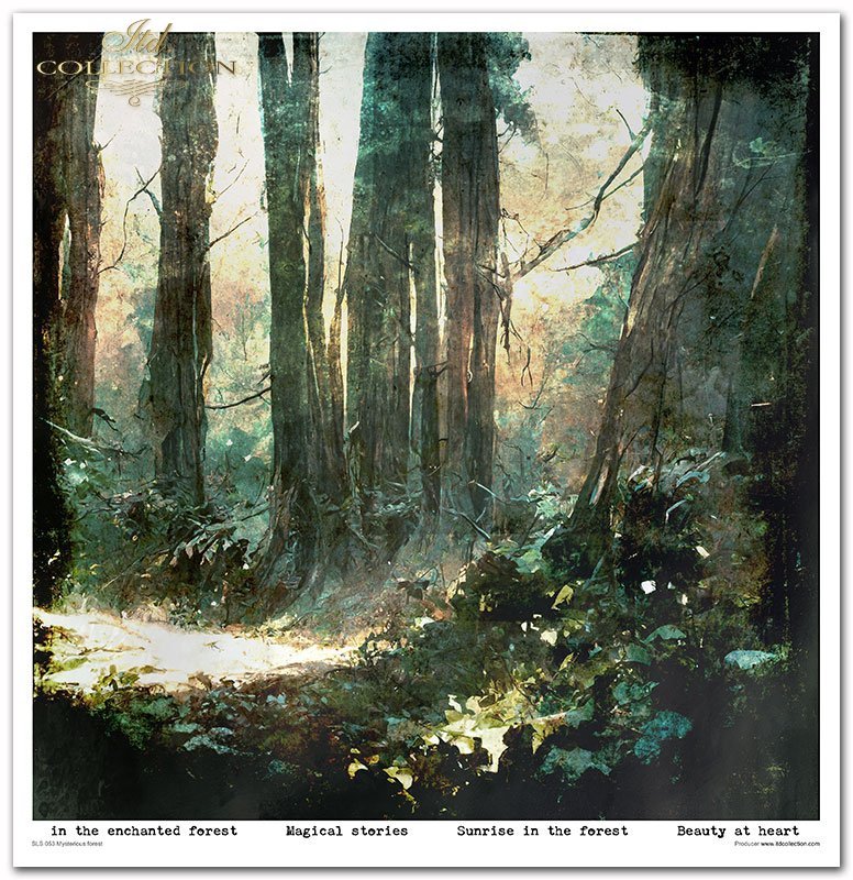 Scrapbooking-Papier-Set „Mysteriöser Wald“, 10 Stück/Packung, 30 x 30 cm, 200 g