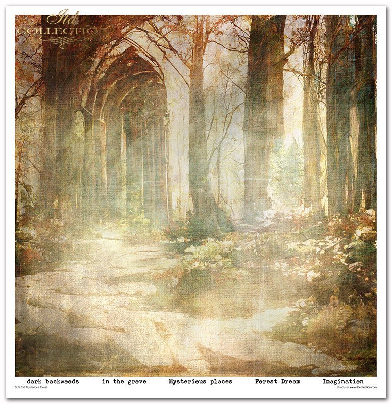 Scrapbooking-Papier-Set „Mysteriöser Wald“, 10 Stück/Packung, 30 x 30 cm, 200 g