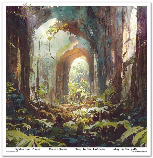 Scrapbooking-Papier-Set „Mysteriöser Wald“, 10 Stück/Packung, 30 x 30 cm, 200 g