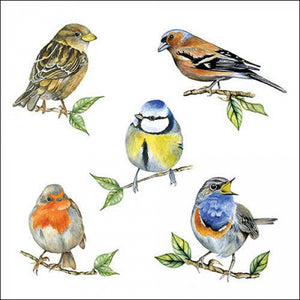 Servietten Bird Species weiß 33x33cm 20 Stück 3-lagig 100% FSC