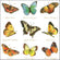 Servietten Collection of butterflies  33x33cm 20 Stück 3-lagig 100% FSC