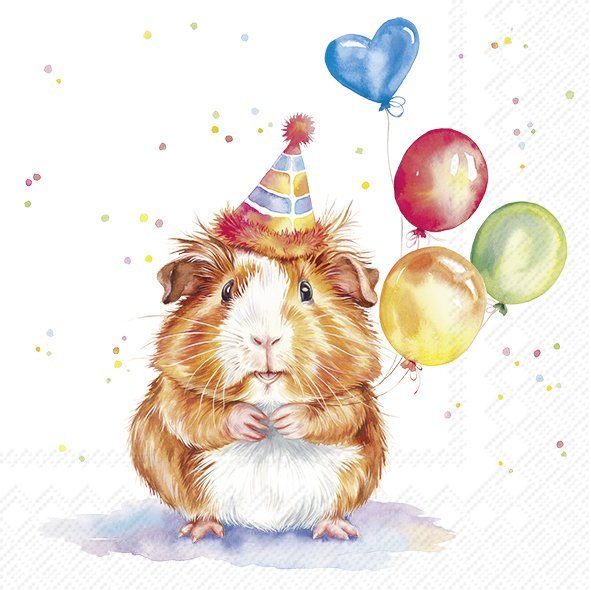 Servietten BIRTHDAY KALLI Meerschweinchen 33x33cm 3-lagig 20 Stück / Packung
