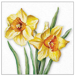Servietten Flowering Daffodils FSC Mix 20 Stück pro Päckchen 33x33cm
