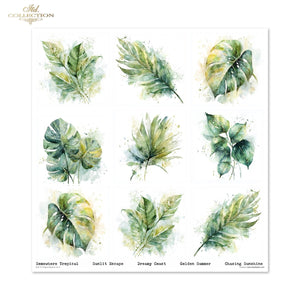 Set von Papieren für Scrapbooking Tropical Dreams 200g/m² 310x320 mm 11 Bögen