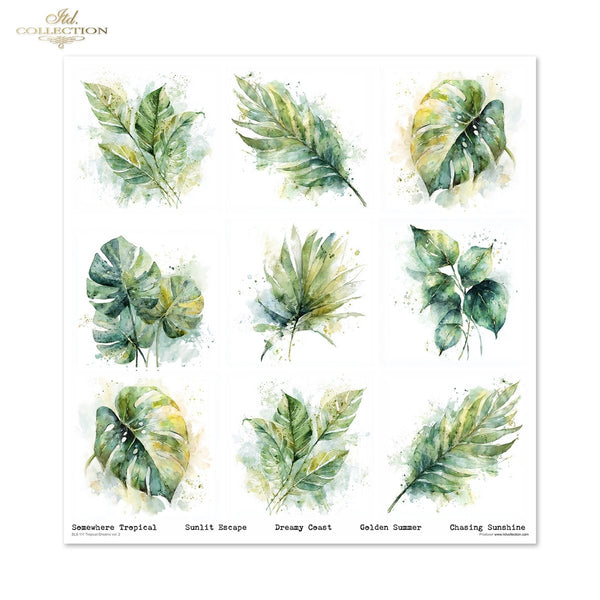 Set von Papieren für Scrapbooking Tropical Dreams 200g/m² 310x320 mm 11 Bögen