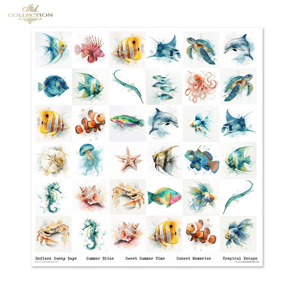 Set von Papieren für Scrapbooking Tropical Dreams 200g/m² 310x320 mm 11 Bögen