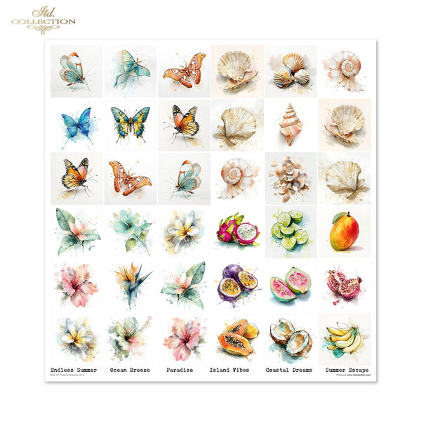 Set von Papieren für Scrapbooking Tropical Dreams 200g/m² 310x320 mm 11 Bögen