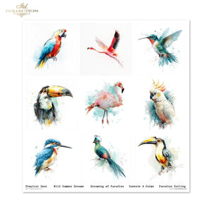 Set von Papieren für Scrapbooking Tropical Dreams 200g/m² 310x320 mm 11 Bögen