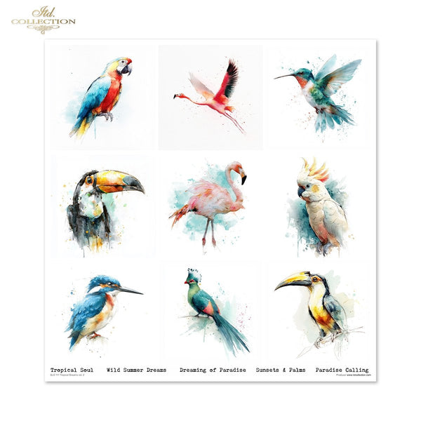 Set von Papieren für Scrapbooking Tropical Dreams 200g/m² 310x320 mm 11 Bögen