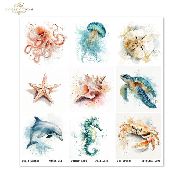 Set von Papieren für Scrapbooking Tropical Dreams 200g/m² 310x320 mm 11 Bögen