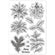 Silikonstempel Weihnachtsstern Merry Christmas 16x11cm 1 Bogen