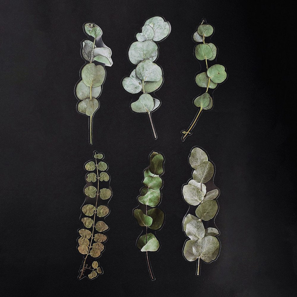 Aufkleber wasserfest Eukalyptus grün 200~203x46~81x0,1 mm 6 Stück