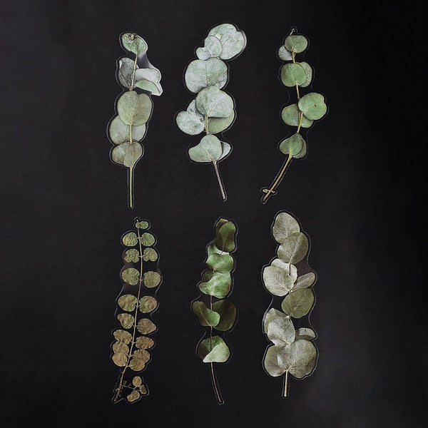 Aufkleber wasserfest Eukalyptus grün 200~203x46~81x0,1 mm 6 Stück