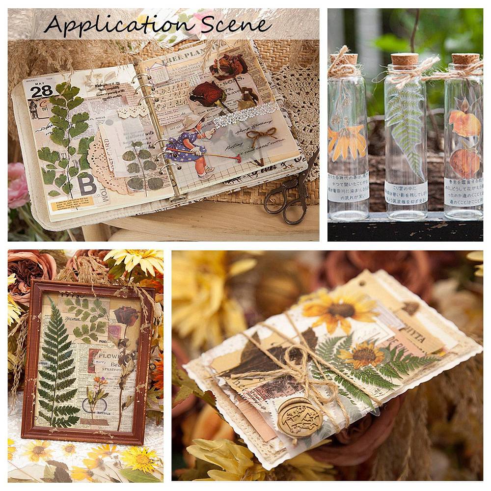 Aufkleber wasserfest Eukalyptus grün 200~203x46~81x0,1 mm 6 Stück