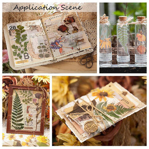 Aufkleber wasserfest Eukalyptus grün 200~203x46~81x0,1 mm 6 Stück