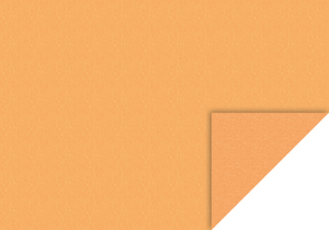 Pergamin Transparentpapier Rolle 42g/m² 70x100cm