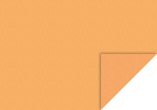 Pergamin Transparentpapier Rolle 42g/m² 70x100cm