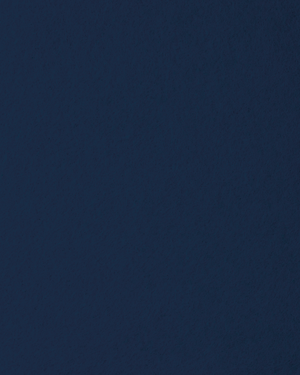 Trendyfilz Filzplatte 100 % Polyester 3mm 75x50cm