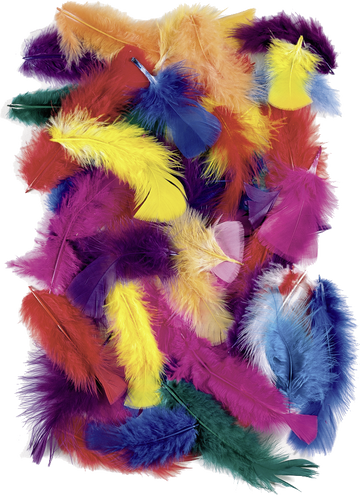 Federmischung bunt 4 -20cm 25g