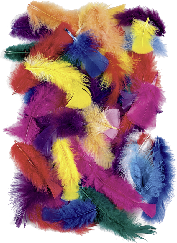 Federmischung bunt 4 -20cm 25g