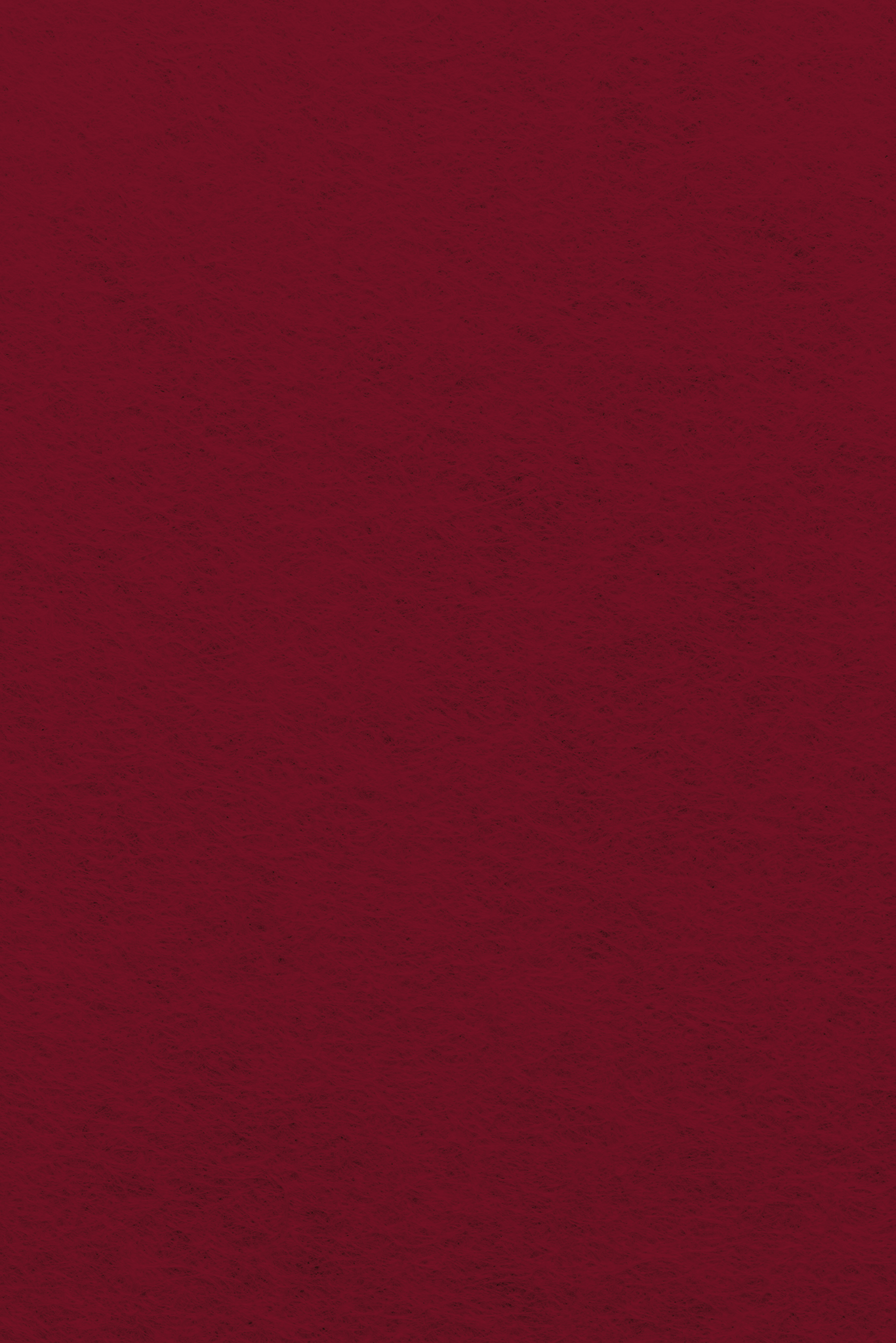 Bastelfilz Zuschnitt 1mm 20x30cm