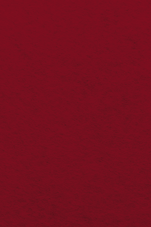 Bastelfilz Zuschnitt 1mm 20x30cm