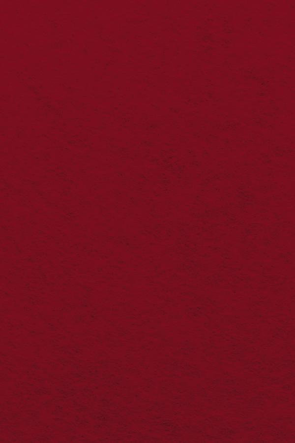 Bastelfilz Zuschnitt 1mm 20x30cm