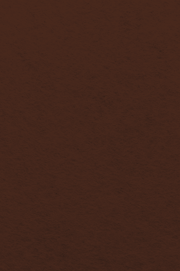 Bastelfilz Zuschnitt 1mm 20x30cm