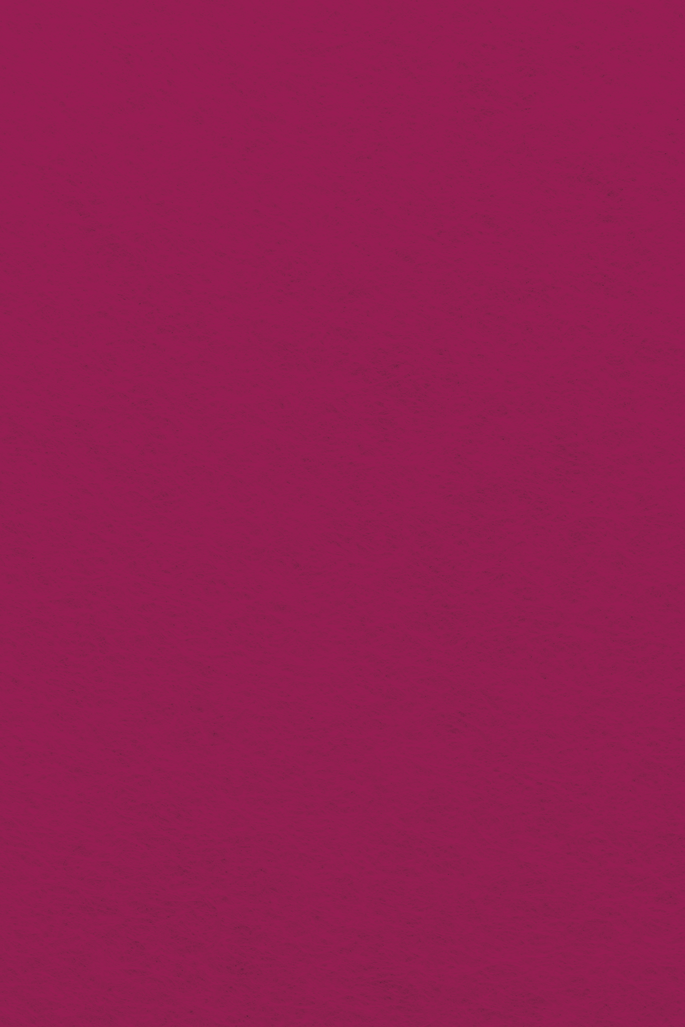 Bastelfilz Zuschnitt 1mm 20x30cm