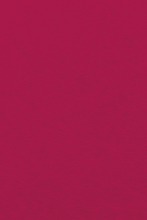 Bastelfilz Zuschnitt 1mm 20x30cm