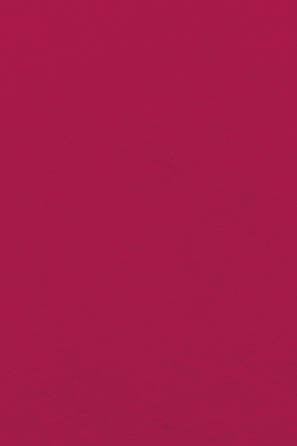 Bastelfilz Zuschnitt 1mm 20x30cm