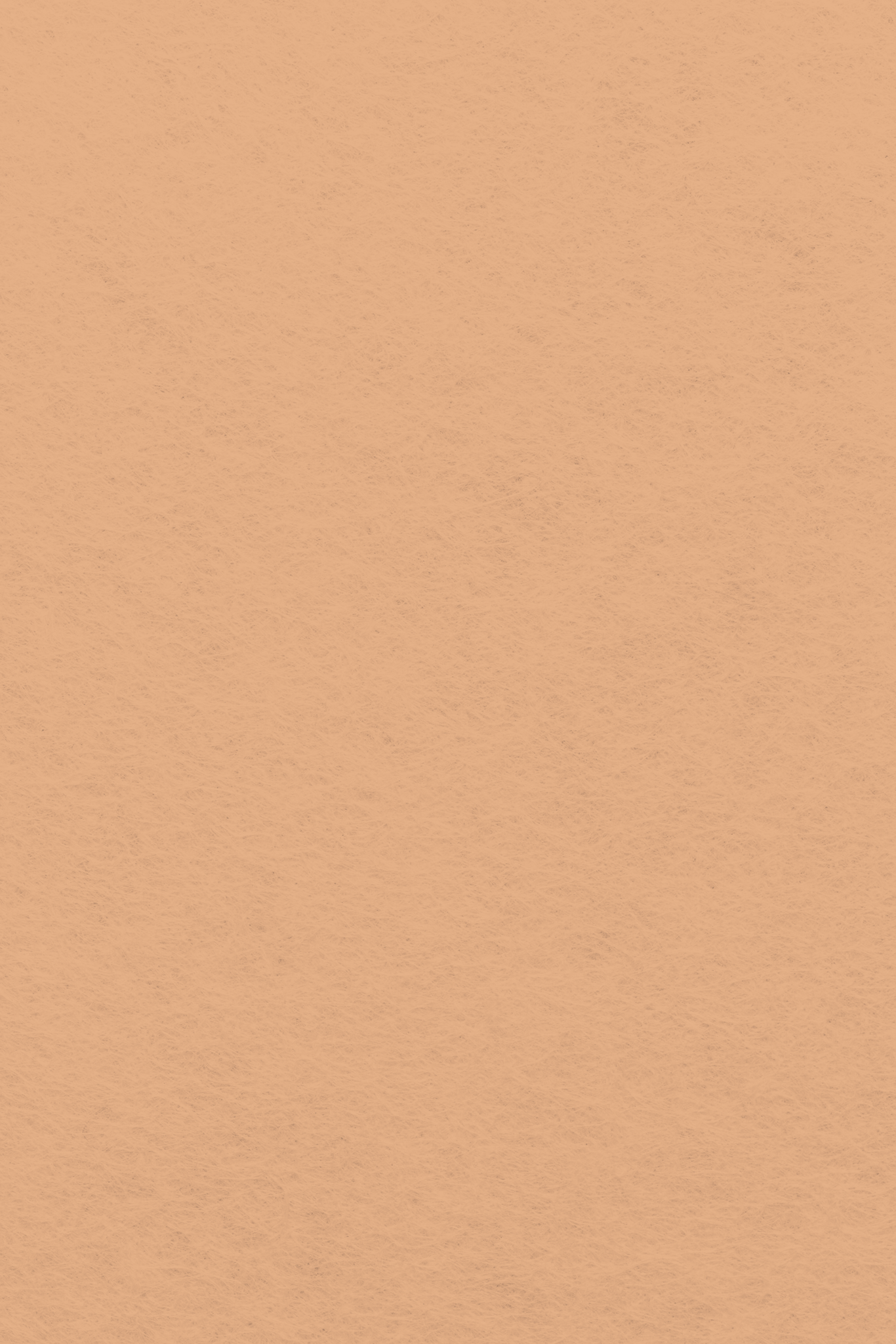 Bastelfilz Zuschnitt 1mm 20x30cm