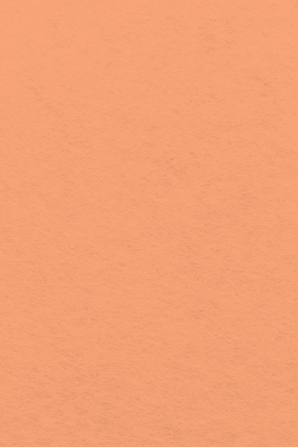 Bastelfilz Zuschnitt 1mm 20x30cm