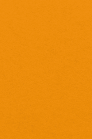 Bastelfilz Zuschnitt 1mm 20x30cm