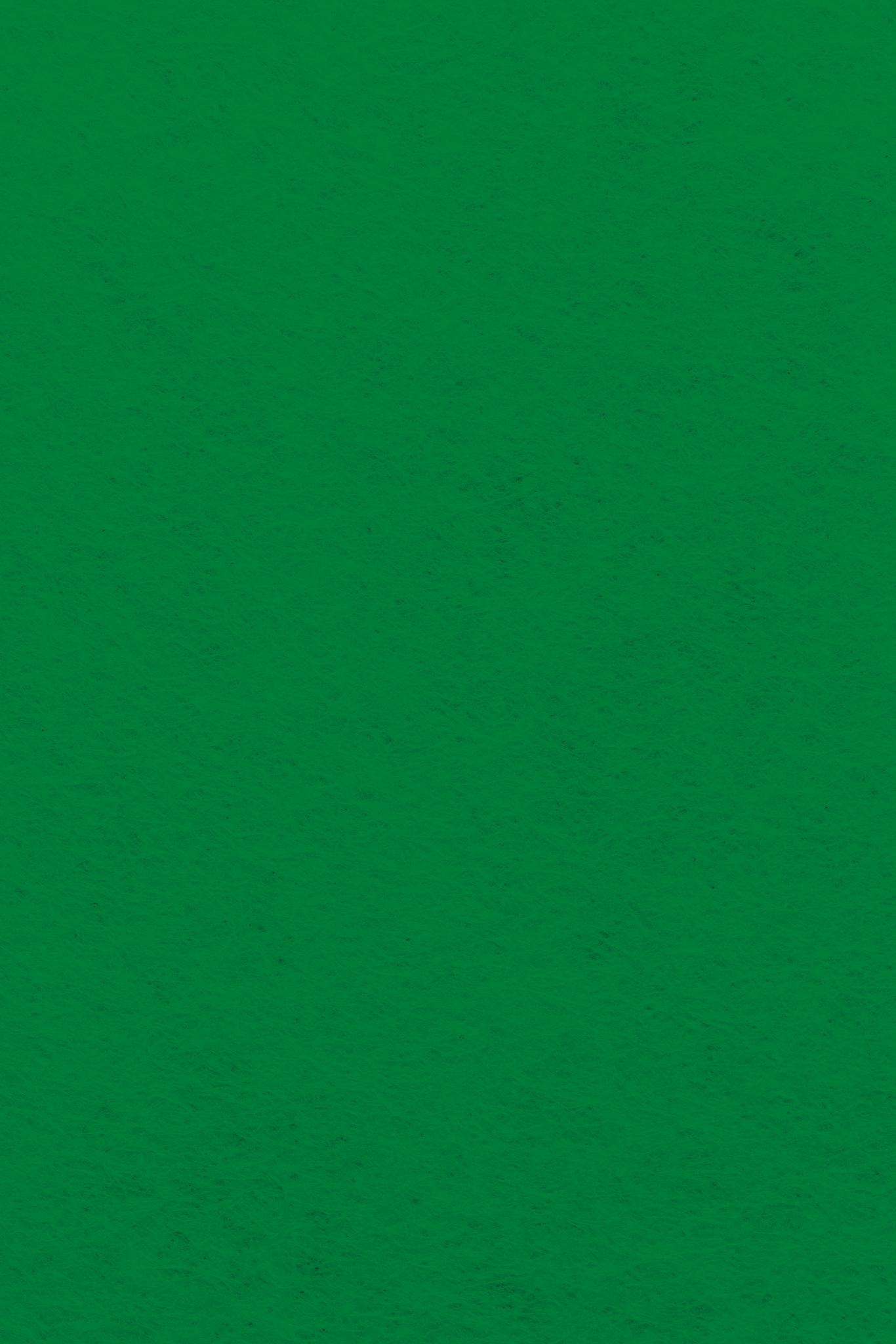 Bastelfilz Zuschnitt 1mm 20x30cm