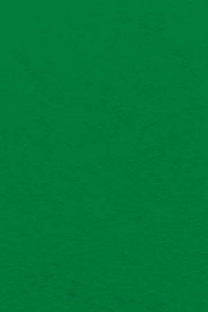 Bastelfilz Zuschnitt 1mm 20x30cm