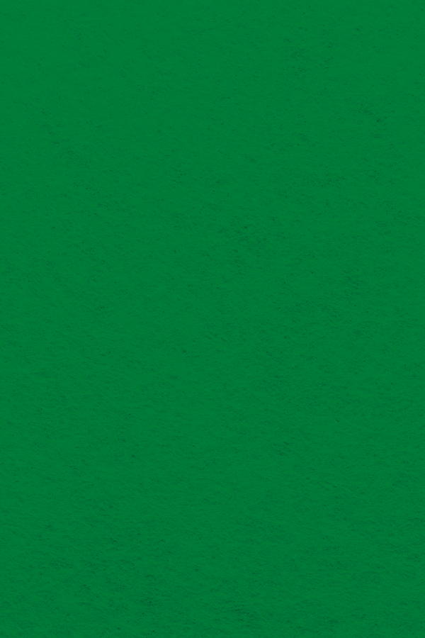 Bastelfilz Zuschnitt 1mm 20x30cm