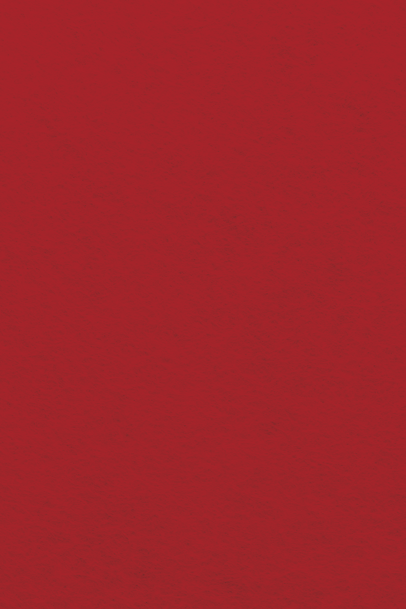 Bastelfilz Zuschnitt 1mm 20x30cm