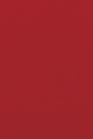 Bastelfilz Zuschnitt 1mm 20x30cm