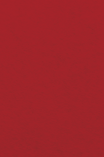 Bastelfilz Zuschnitt 1mm 20x30cm
