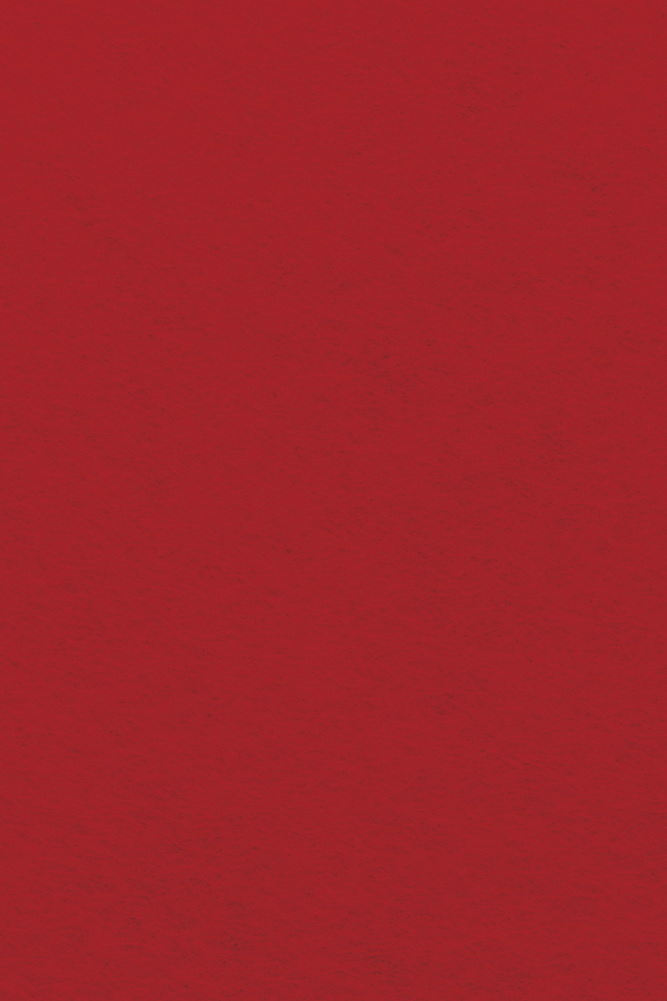 Bastelfilz Zuschnitt 1mm 20x30cm