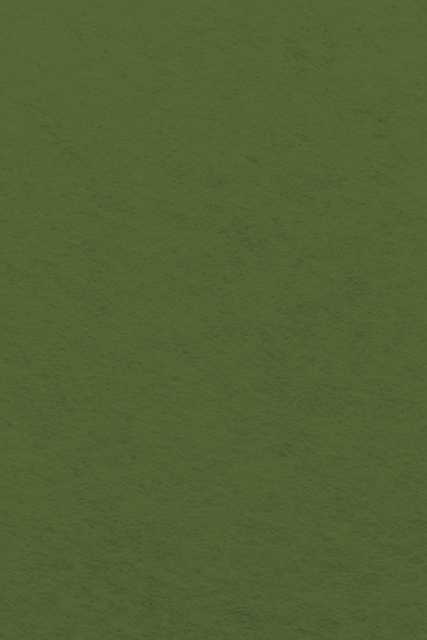 Bastelfilz Zuschnitt 1mm 20x30cm