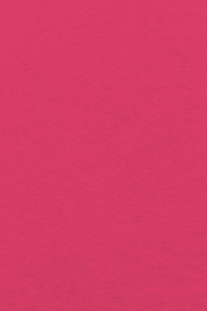 Bastelfilz Zuschnitt 1mm 20x30cm