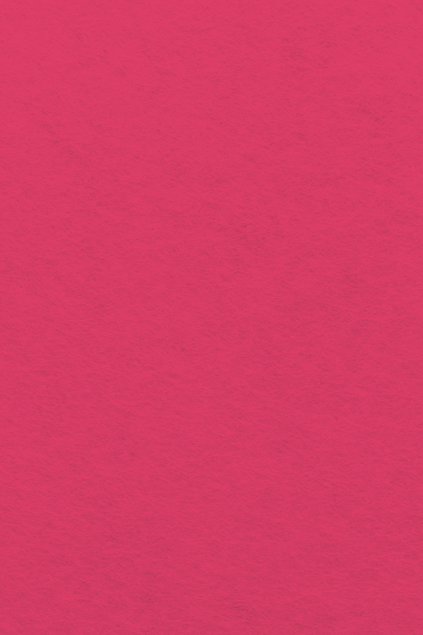 Bastelfilz Zuschnitt 1mm 20x30cm