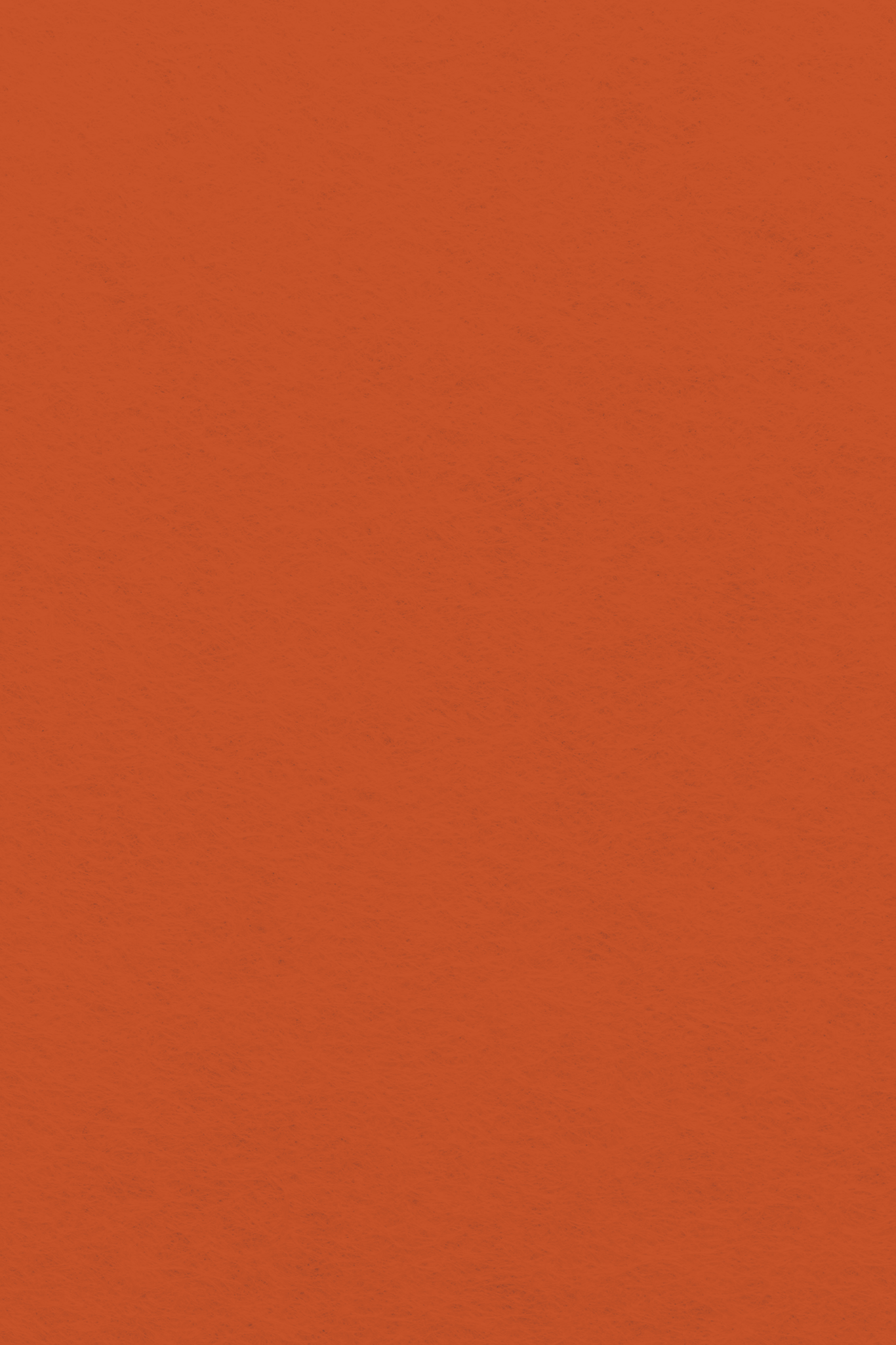 Bastelfilz Zuschnitt 1mm 20x30cm