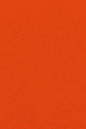Bastelfilz Zuschnitt 1mm 20x30cm