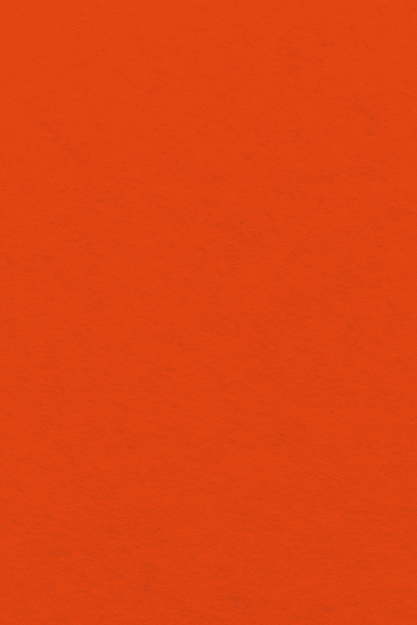 Bastelfilz Zuschnitt 1mm 20x30cm