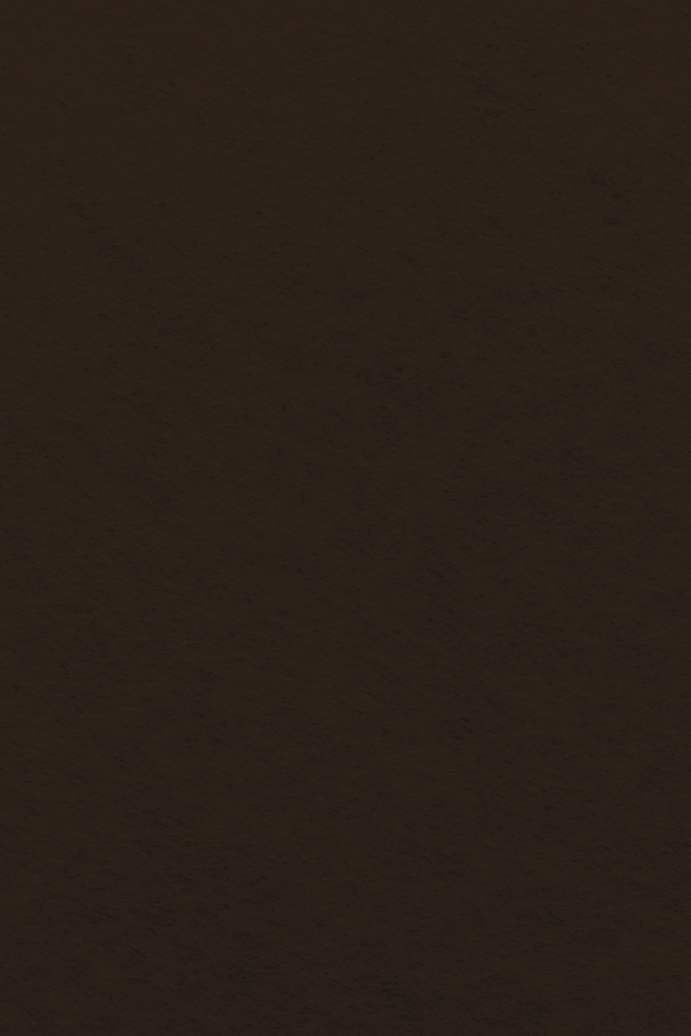 Bastelfilz Zuschnitt 1mm 20x30cm