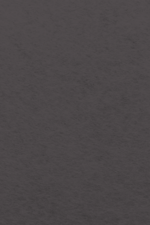 Bastelfilz Zuschnitt 1mm 20x30cm